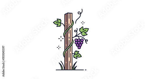 Grapevine Growing on Wooden Post with Purple Grapes and Green Leaves, Isolated