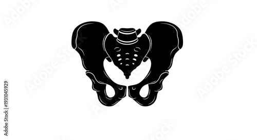 Human Pelvis Bone Anatomy Silhouette Vector Illustration