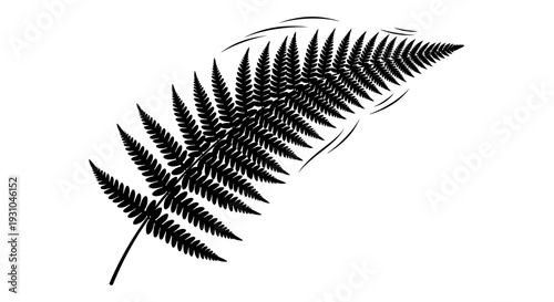 Black silhouette of a fern frond, isolated on a white background, vector illustration