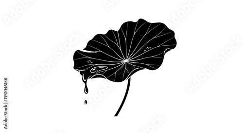 Black silhouette of a lotus leaf with water droplets falling, isolated on white background.