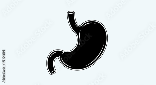 Black Silhouette of Human Stomach Organ on Light Blue Background
