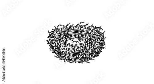 Bird's Nest with Eggs: Nature's Cradle, New Life, Spring Symbol