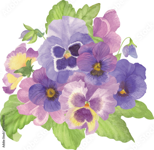 Watercolor bright Pansy Bouquet with Leaves Vector Illustration