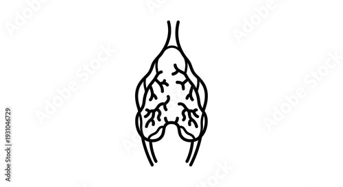 Abstract Lungs Icon Vector Illustration