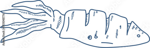 Squid Seafood Sketch