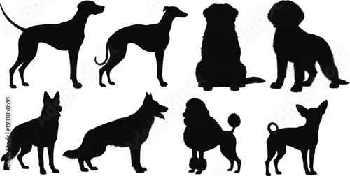 Dog breed silhouettes collection, domestic pet canine vector illustration isolated black silhouette set bundle animal dogs