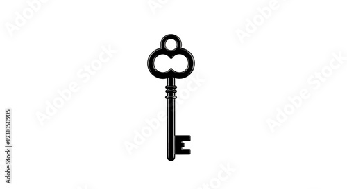 Vintage Skeleton Key, Ornate Antique Key, Old Metal Key Isolated on White Background