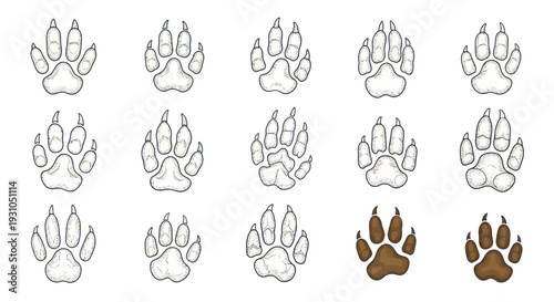 Collection of Animal Paw Prints, Footprints, Tracks, Claws, Wildlife