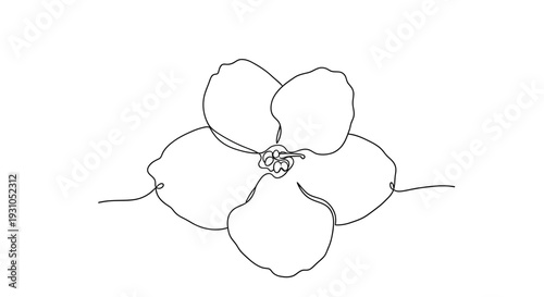 Minimalist single line drawing of a delicate flower with five petals on a white background