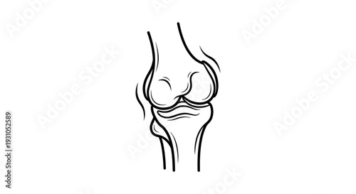 Knee Joint Anatomy Illustration - Medical Line Art