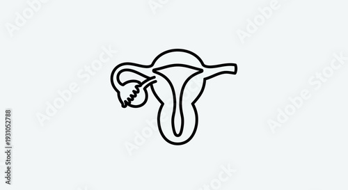 Female reproductive system icon, uterus, ovaries, fallopian tubes, simple line art, medical symbol
