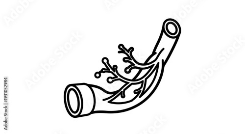 Medical illustration of a blood vessel with branching capillaries