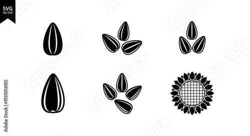 Sunflower Seeds and Flower Icons: Black and White Vector Graphics