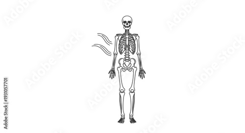 Human Skeleton with Wavy Lines Indicating Breath or Energy