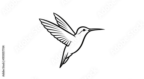 Hummingbird Outline Drawing, Flying Bird Silhouette, Minimalist Vector Art