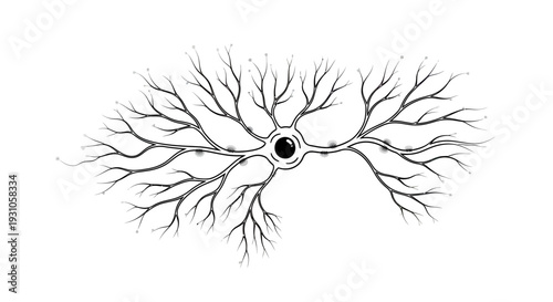 Detailed illustration of a neuron with branching dendrites and axon, symbolizing thought and connection
