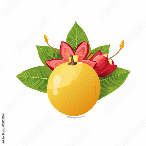Tropical Fruit and Exotic Flowers Arrangement Isolated on White Background
