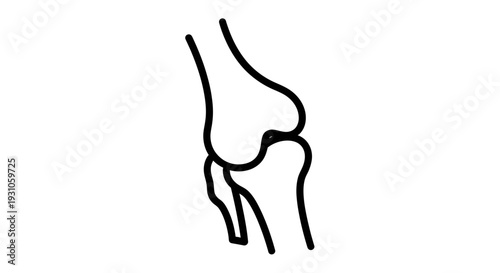 Knee Joint Anatomy Illustration - Medical Line Art Diagram
