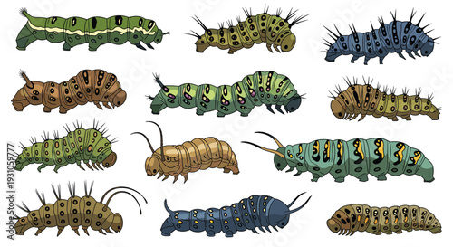 Detailed set of colorful caterpillars showcasing a variety of insect species with different patterns and body shapes for biology.