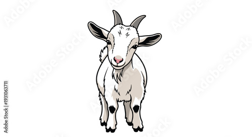 Adorable young white goat with small horns and a curious expression stands calmly while looking forward against a white background.