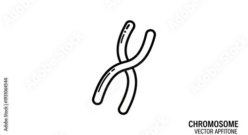 Chromosome Icon Vector Illustration - DNA Gene Biology Science