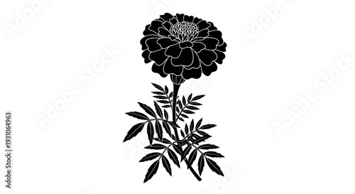 Black and White Silhouette of a Marigold Flower with Leaves and Stem