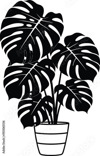 Monstera deliciosa plant silhouette vector illustration in pot, tropical houseplant isolated on white background, minimalist botanical design for logo, stencil, wall art decor
