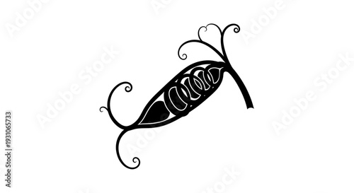 Stylized Black Pea Pod with Swirls and Curls on White Background