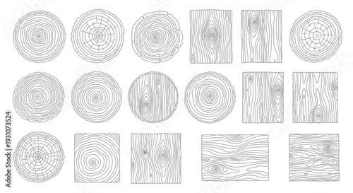 Wood Grain Pattern with Tree Rings and Planks Vector Illustration