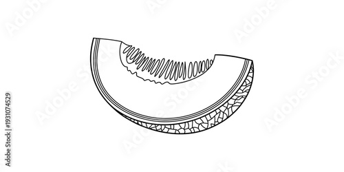 A black and white line drawing of a cantaloupe melon slice with textured rind and seeds. Vector, illustration