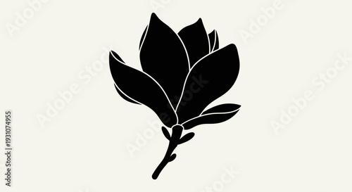 Elegant black magnolia bloom minimalist botanical illustration on a pristine light background
