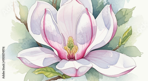 Delicate watercolor magnolia blossom painting showcasing soft pastel hues and organic floral