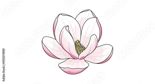 Beautiful pink magnolia bloom vector illustration showcasing delicate petals and serene elegance