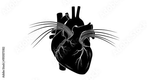 Dynamic black silhouette of a human heart illustrating intricate vascular pathways and vital