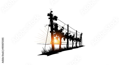 Vibrant Vineyard Silhouette at Golden Sunset hour revealing lush grapevines and agricultural beauty