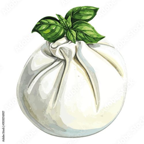 Gourmet Burrata with Fresh Basil Leaves Watercolor Illustration