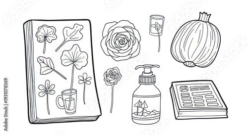Botanical Illustrations and Everyday Objects Line Art Collection.