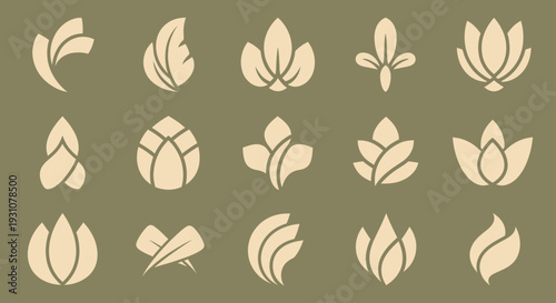 Collection of Abstract Floral and Leaf Logos and Icons.
