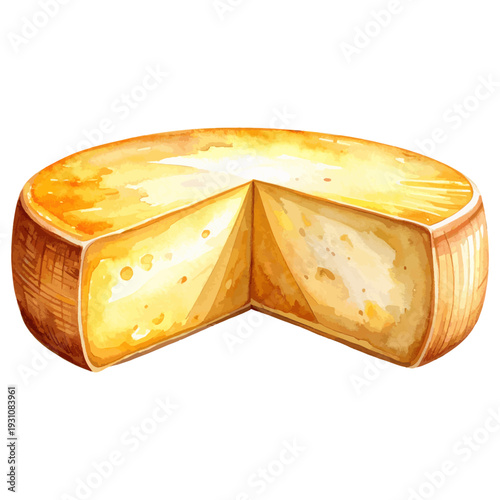Italian Parmigiano Reggiano Watercolor Illustration