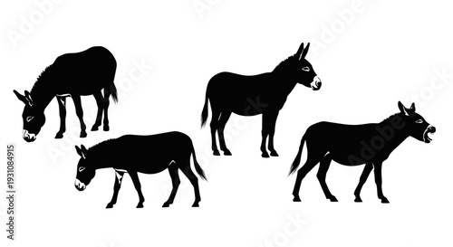 Group of four black donkey silhouettes in various poses grazing standing and with mouths open isolated on a white