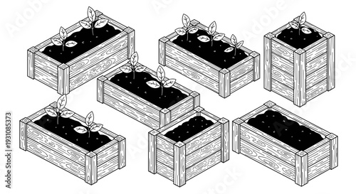 Various wooden raised garden beds filled with soil and young seedlings presented in a clean isometric illustration