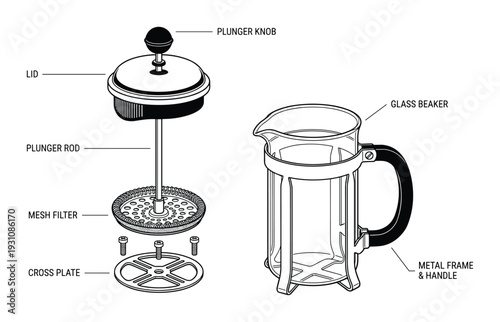 French press exploded diagram vector illustration, glass beaker, plunger rod, lid, mesh filter and metal frame