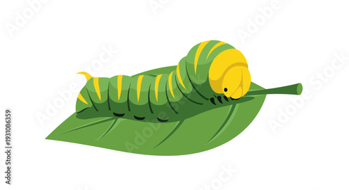 Cute Caterpillar on Green Leaf, Insect Larva Illustration