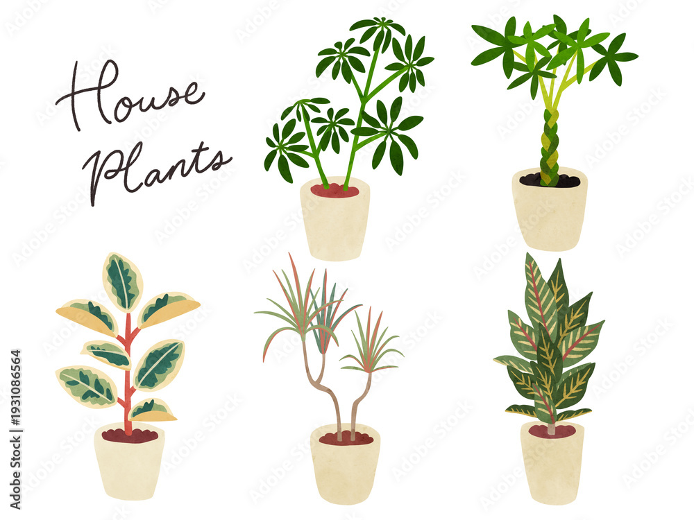 Obraz premium 観葉植物5種類のセット2 水彩風手描きイラスト