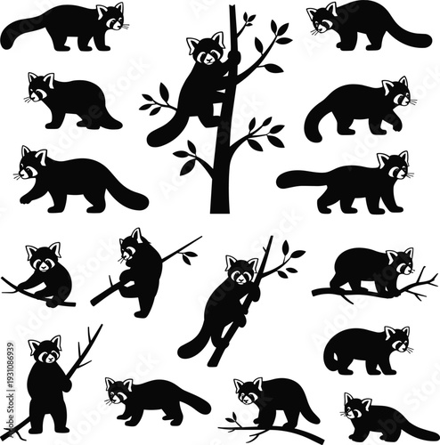Black Red Panda Silhouettes Set Featuring Cute Animal Icons Climbing Trees Standing and Walking in Nature Isolated on White Background for Vector Design Graphics