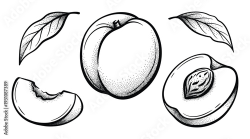 Hand-drawn peaches illustration with leaves and slices, black and white stipple effect, natural fresh fruit drawing