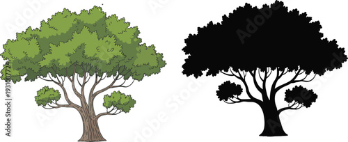 Hand drawn green oak tree illustration with textured foliage and detailed wood grain alongside a solid black silhouette isolated on white background.