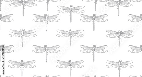 Seamless Pattern of Hand-Drawn Dragonfly Illustrations on White Background