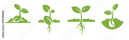Plant Growth Stages Vector Illustration, Green Life Cycle Germination Seedling, Development Sprout diagram