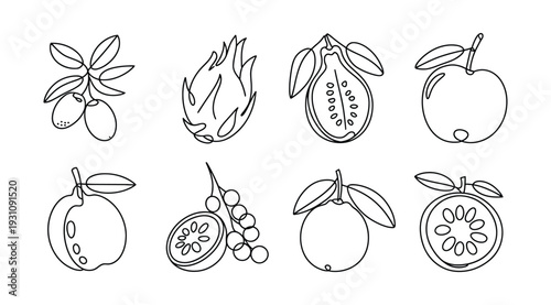Assorted Fresh Fruits and Berries Line Art Collection berry apple